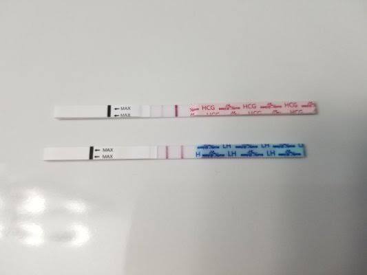 How to know if a pregnancy test strip is positive or not 