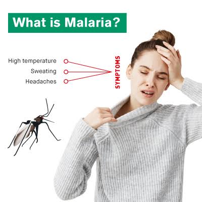 Best malaria drugs for you 